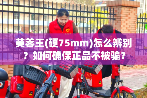 芙蓉王(硬75mm)怎么辨别？如何确保正品不被骗？